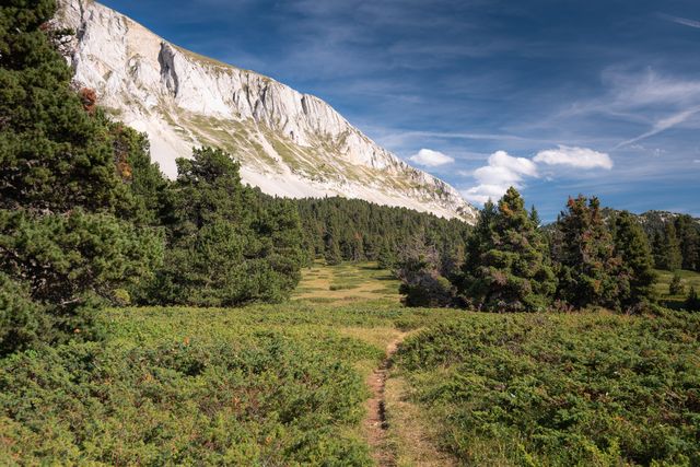 Au pied du Grand Veymont